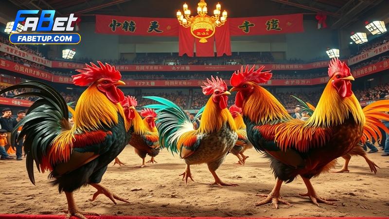 Mẹo chơi Super E-sabong Fabet hiệu quả